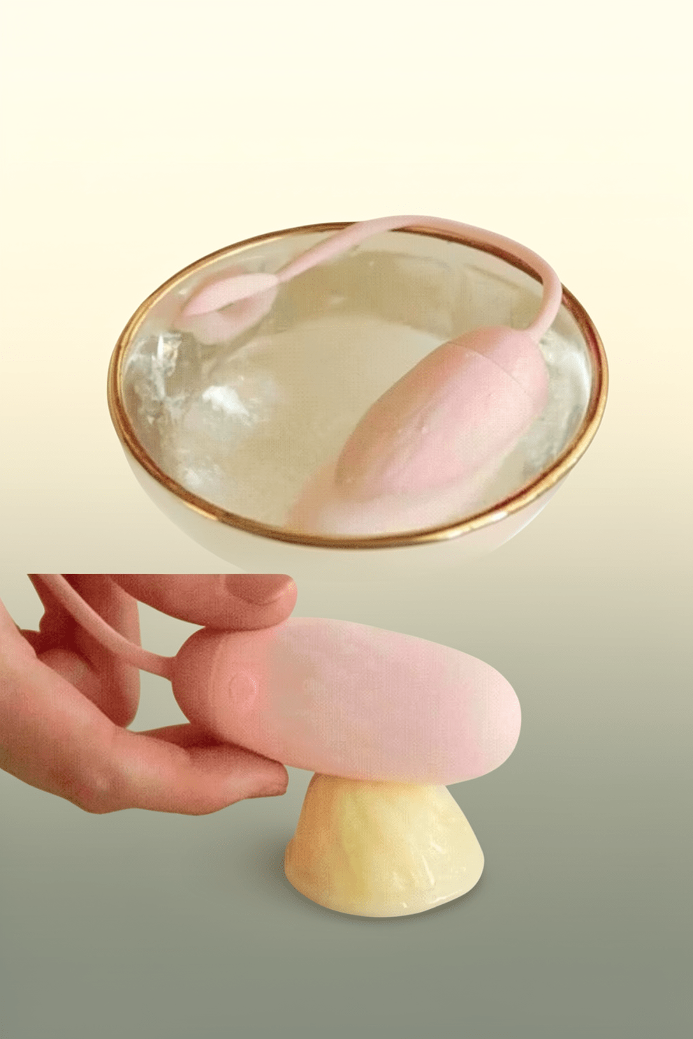 Remote Control Vibrators